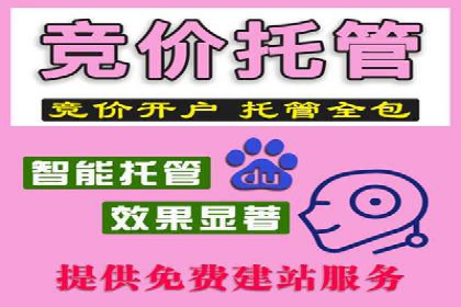 SEM竞价专员如何运用数据分析提高广告转化率